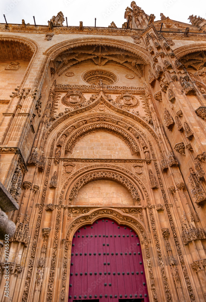 Stone Door Facade New Salamanca Cathedral Spain