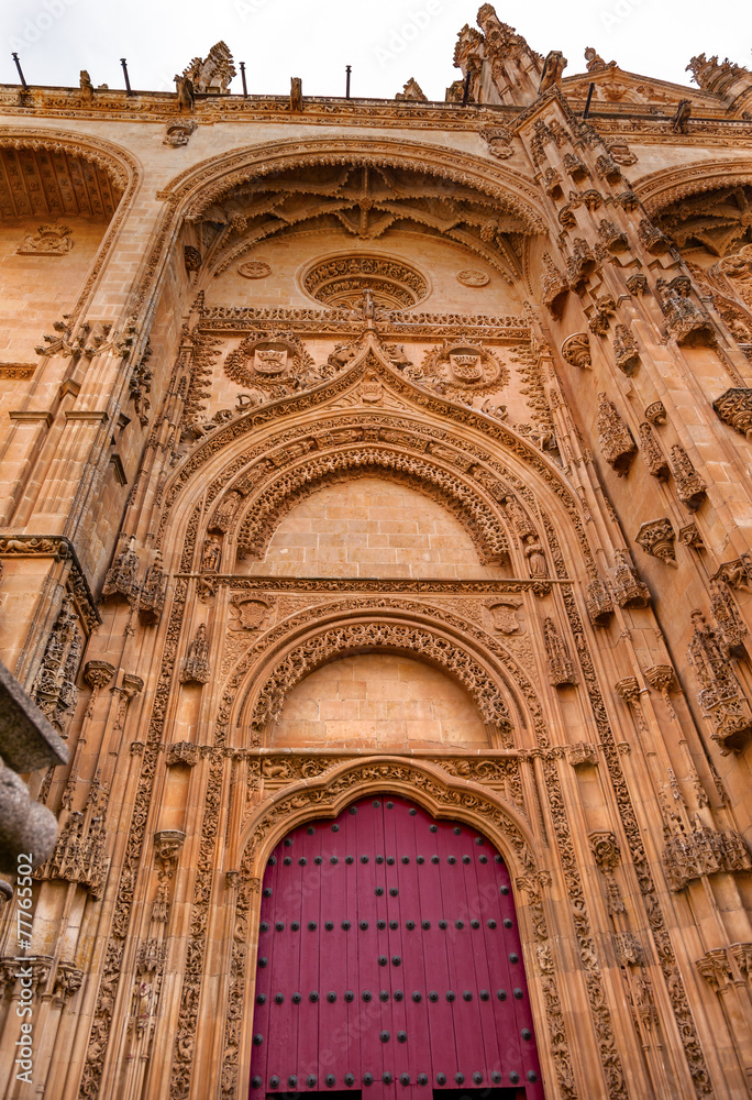 Stone Door Facade New Salamanca Cathedral Spain Stone Door Facade New Salamanca Cathedral Spain