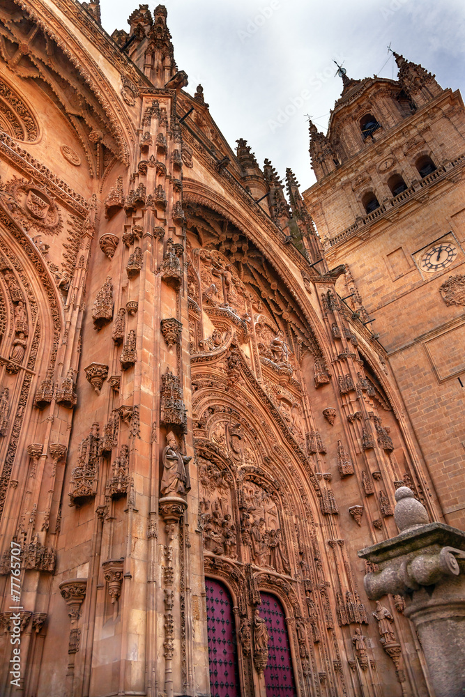 Stone Facade New Salamanca Cathedral Spain