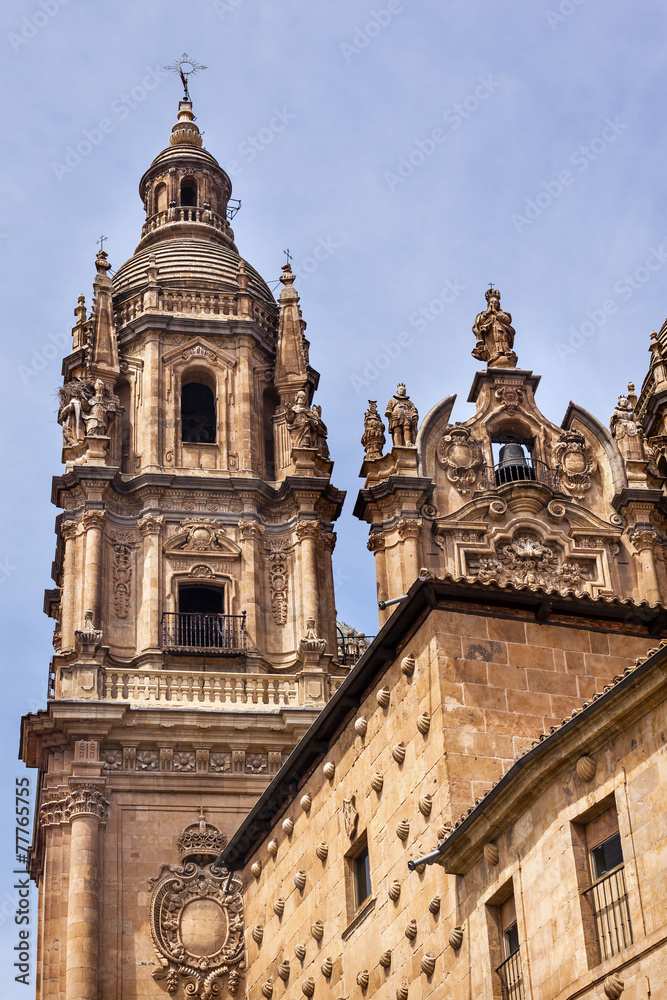 Stone Tower New Salamanca Cathedral Spain