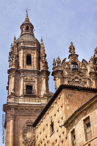 Stone Tower New Salamanca Cathedral Spain