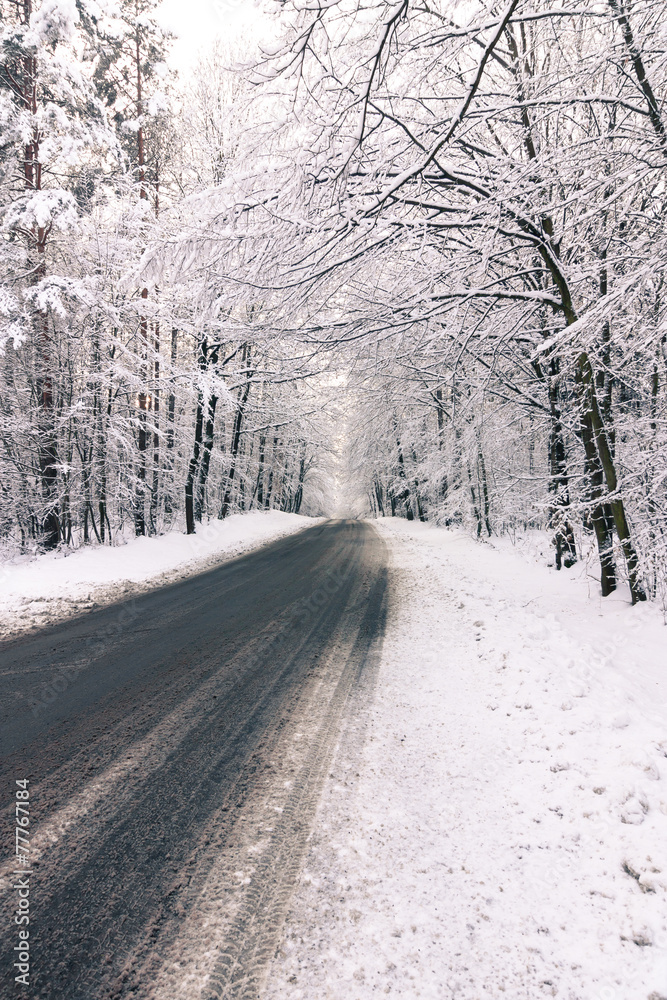 winter road