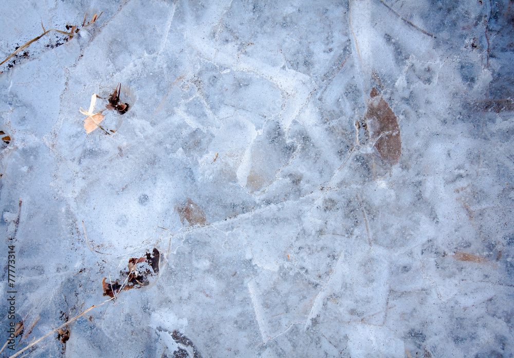 Frozen lake with dry leaf in winter season, Summer Palace, Beiji Frozen lake with dry leaf in winter season, Summer Palace, Beiji