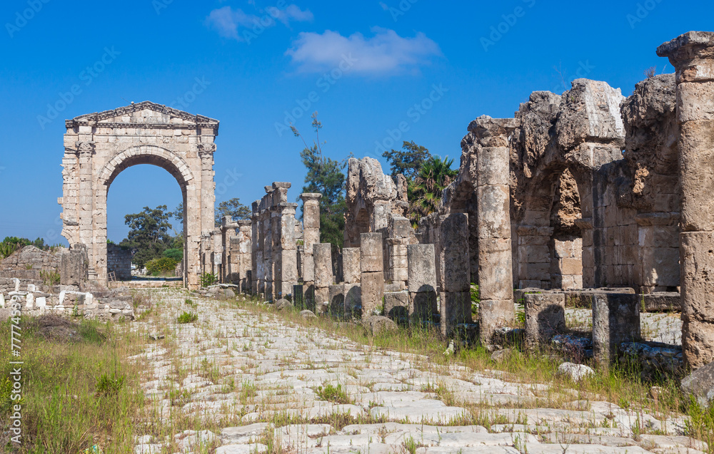 Ruins of ancient Roman Triumphal Arch, Tyre, Lebanon