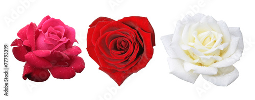 Rose in Form eines Herzens