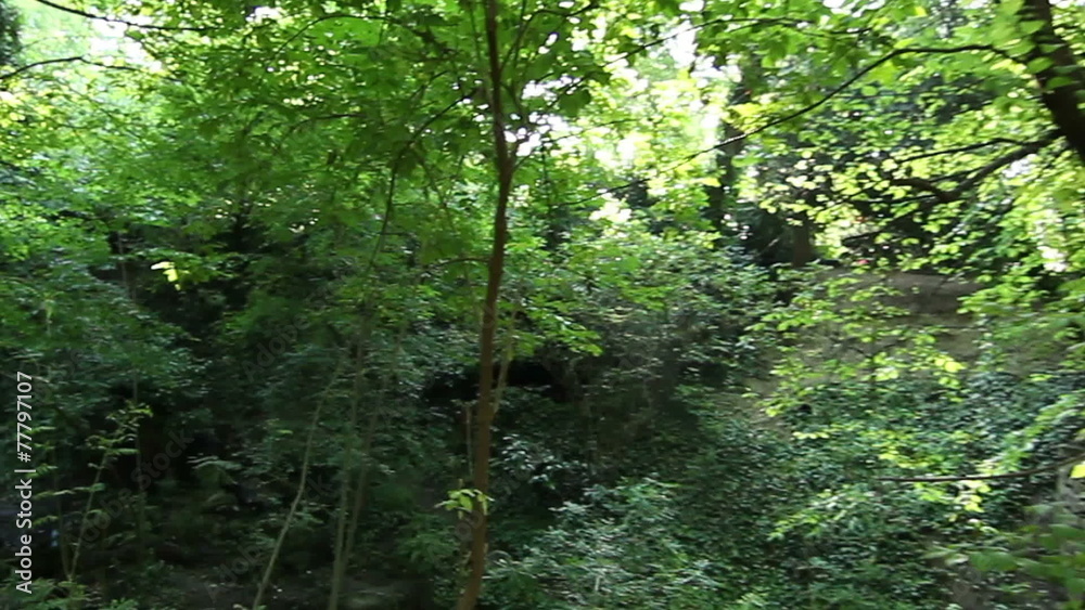 Personal perspective of walking on path in forest, steady cam Personal perspective of walking on path in forest, steady cam