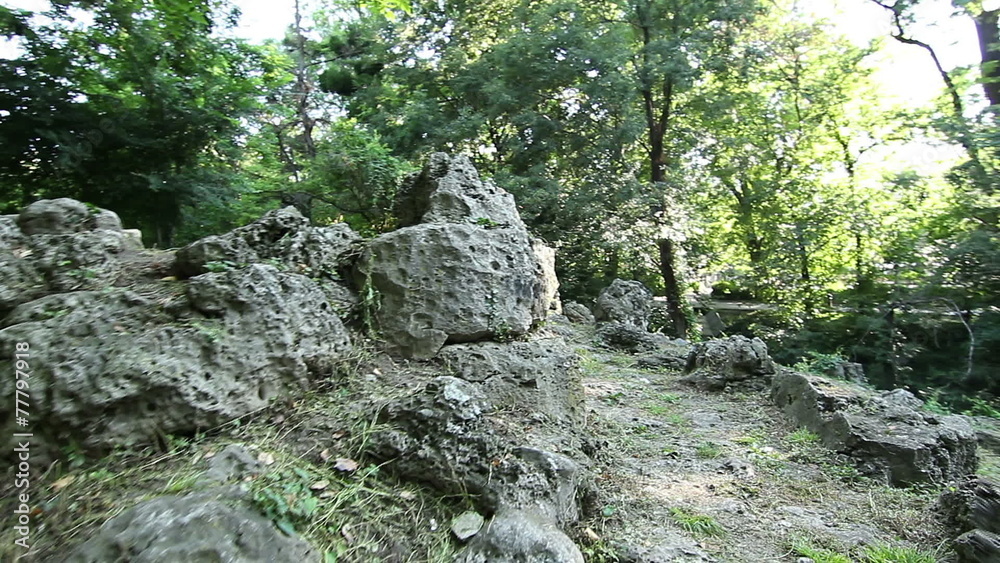 Personal perspective of walking on path in forest, steady cam Personal perspective of walking on path in forest, steady cam