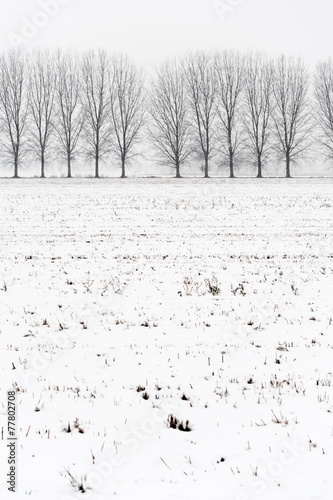 Inverno campagna innevata photo