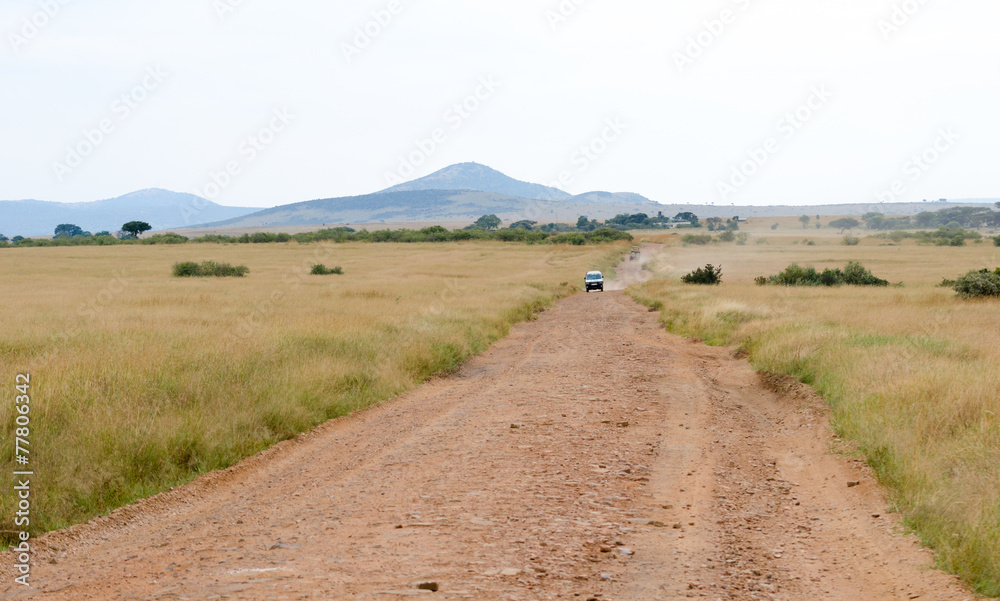 Obraz premium A track to Game Hunt, Kenya, Africa