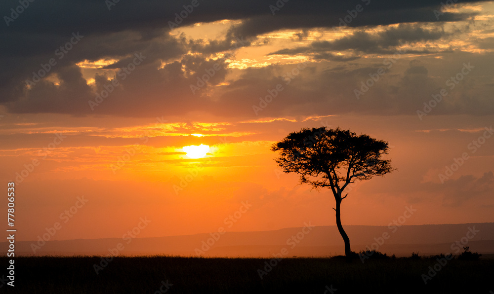 Sunset over Masai Mara National Reserve, Kenya, Africa