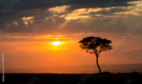 Sunset over Masai Mara National Reserve, Kenya, Africa © NapasT