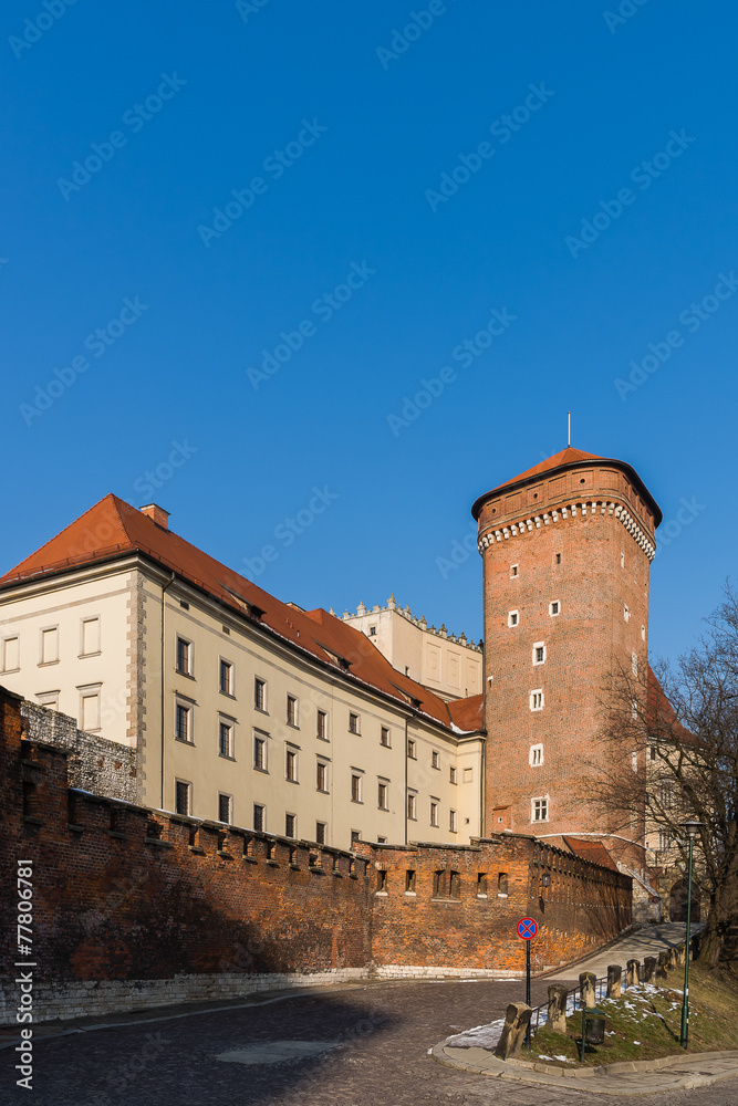 the Royal Castle at the Wawel Hill in Krakow