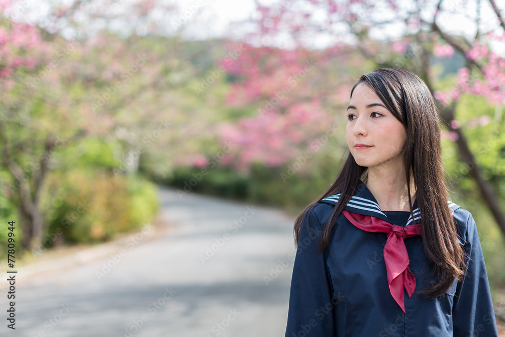 桜 コピースペースと女子学生 桜 コピースペースと女子学生