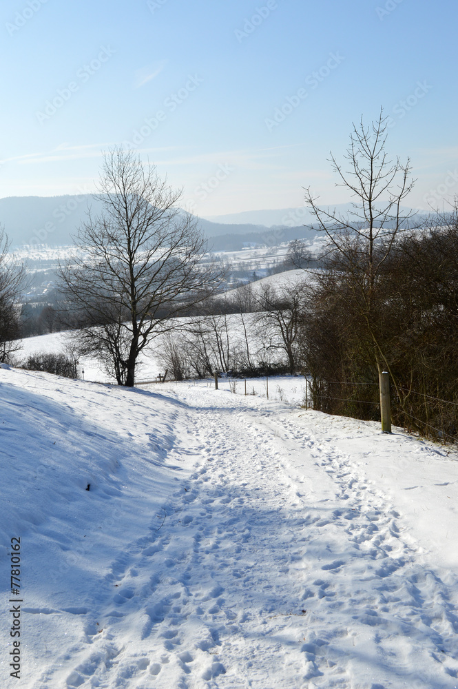 Schneelandschaft