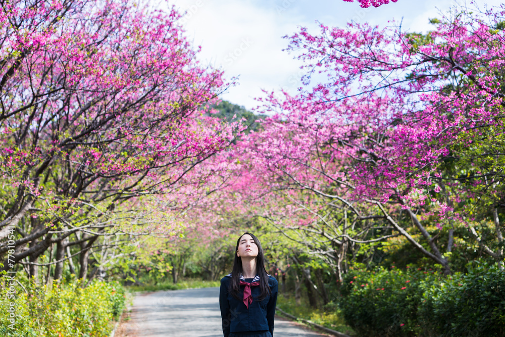 桜 コピースペースと女子学生 桜 コピースペースと女子学生