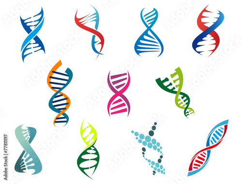 DNA molecules and symbols