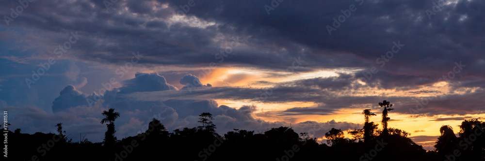Tropical sunset and rainforest silhouette