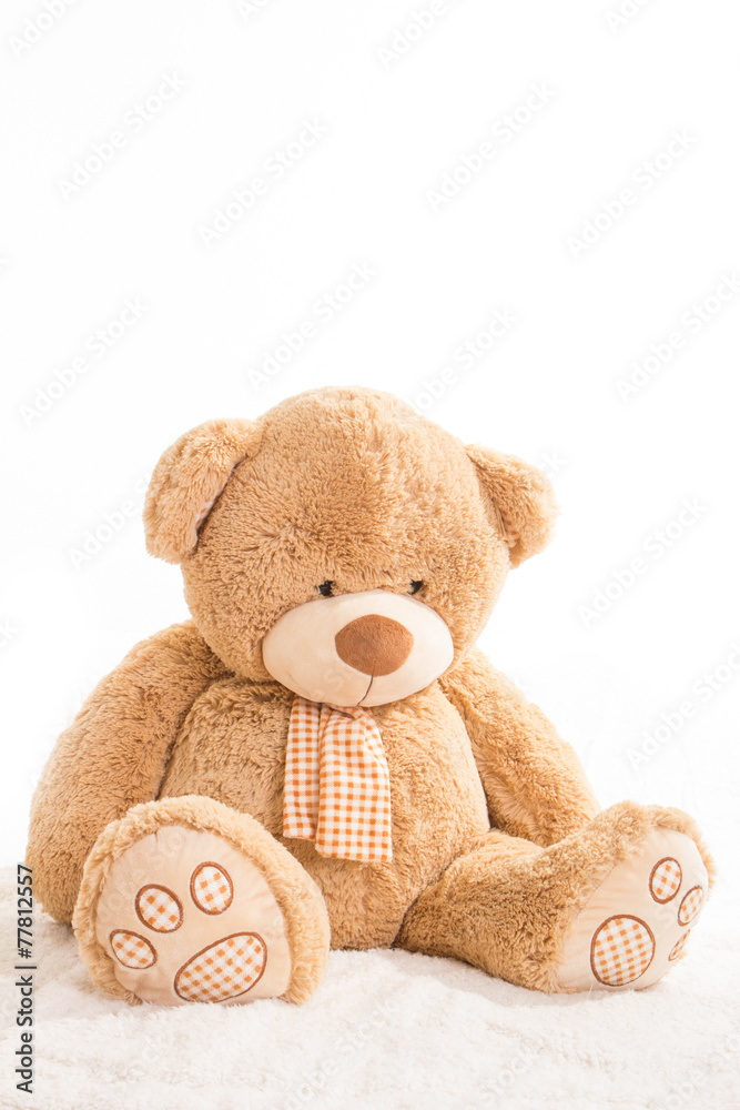 Obraz premium Teddybär