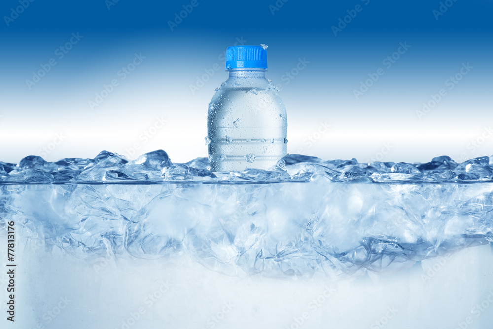 Water Bottle in Ice Cubes Water Bottle in Ice Cubes