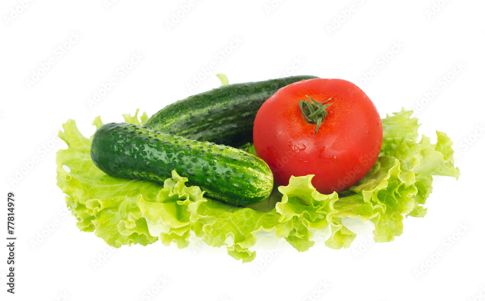 Lettuce, tomato and two cucumbers lying on the plate Lettuce, tomato and two cucumbers lying on the plate