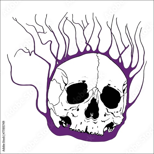 Skull with flaming branches