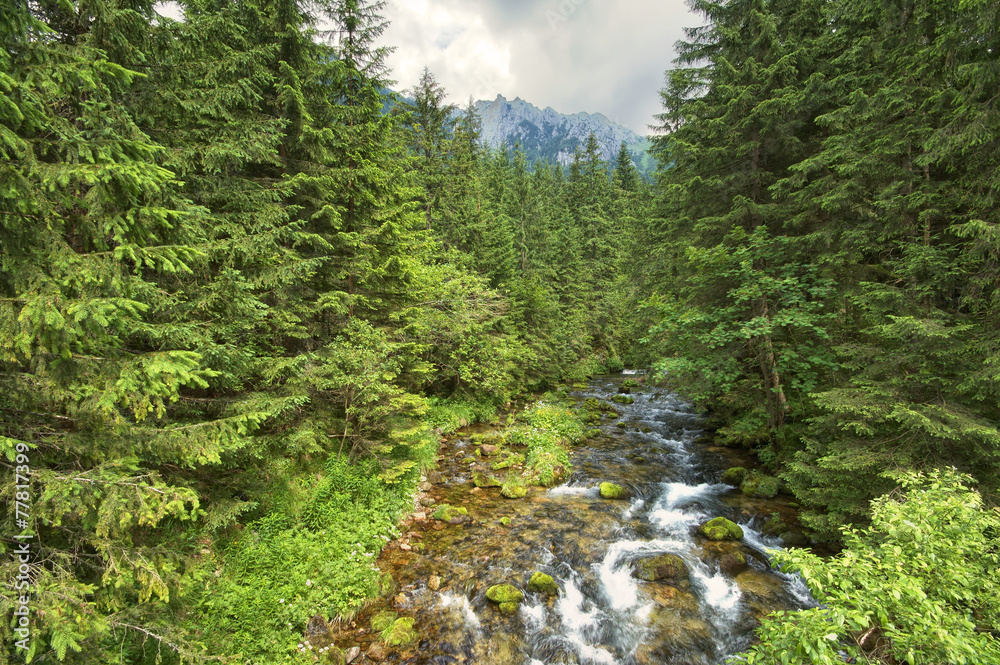 Rapid stream Rapid stream