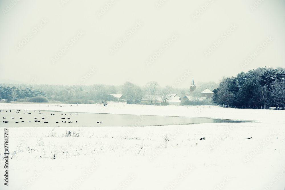 Winter landscape on Lake next to Havel River (Germany)