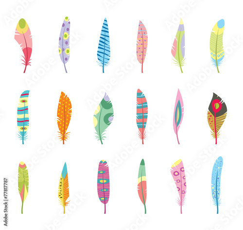 Vector Set of Stylized or Abstract Feathers and Feather