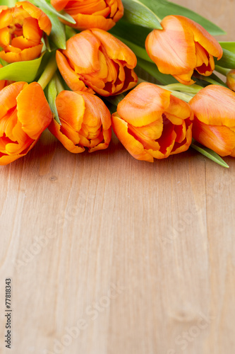 Fototapeta Naklejka Na Ścianę i Meble -  Tulip.