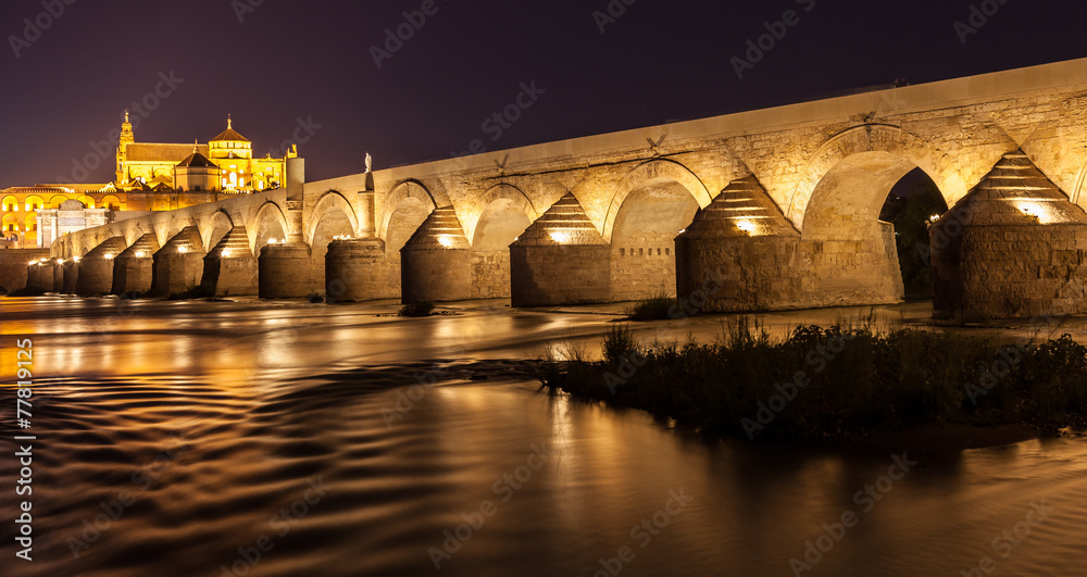 Cordoba Bridge during night