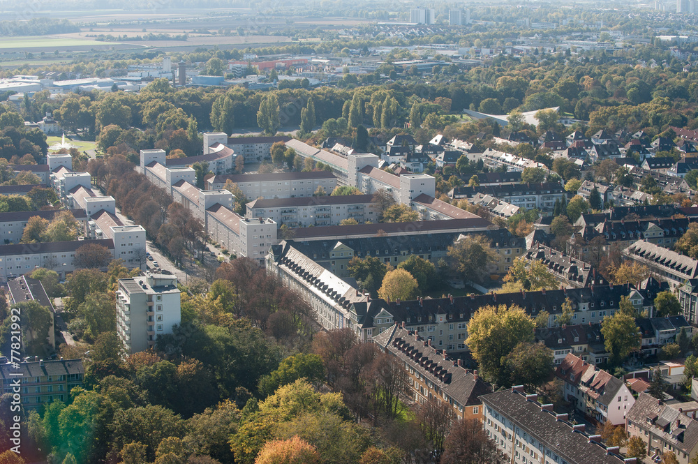 Ludwigshafen Das Darf Man Nicht Verpassen Die Gründe Für Das Ob Wahl Aus Der Afd - idxyiiw