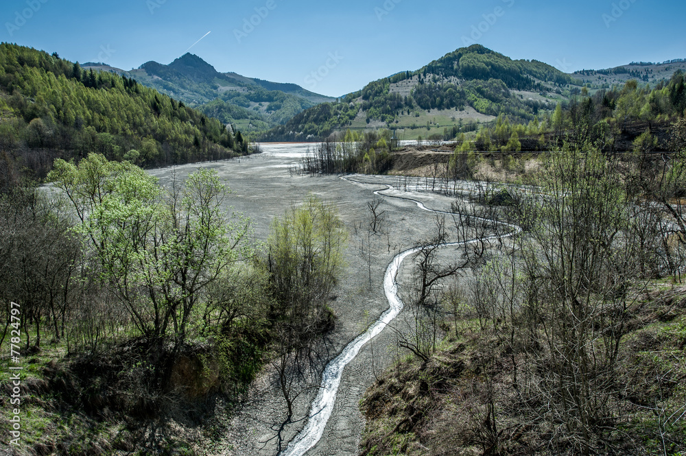 Mining disaster and water pollution in Romania.
