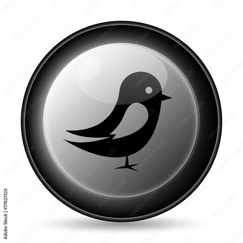 Bird icon Bird icon