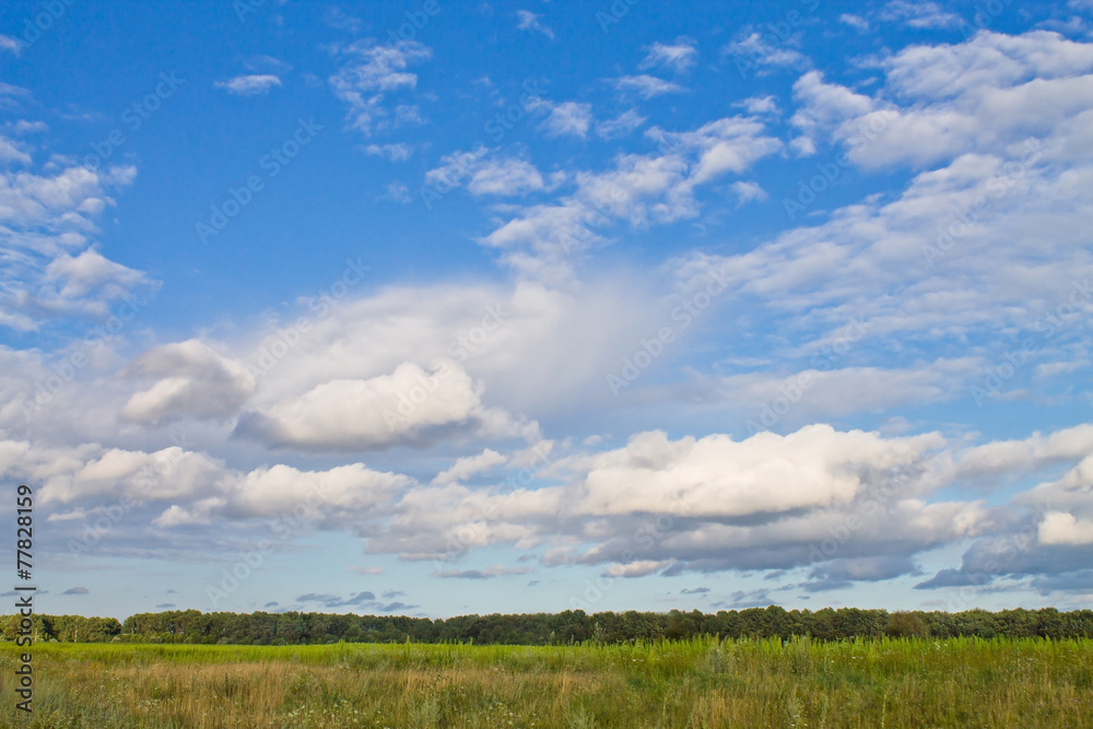 Obraz premium green meadow and blue sky with beautiful clouds