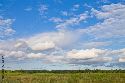 green meadow and blue sky with beautiful clouds