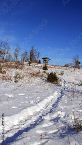 Eggeturm am Eggeosthang auf dem Velmerstot photo