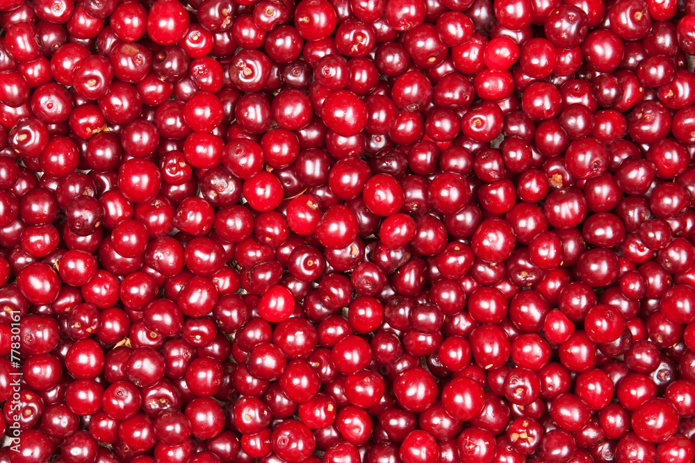 red cherry red cherry