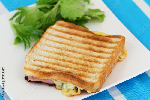Toast with ham and cheese, closeup