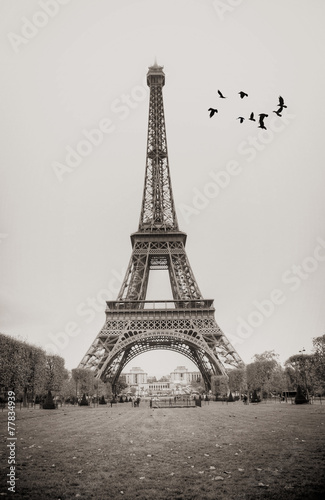 Fototapeta Naklejka Na Ścianę i Meble -  Window to Paris.