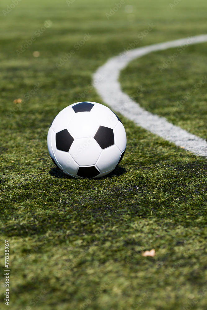Fototapeta premium Soccer pitch