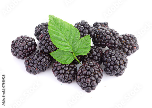 blackberry isolated on white