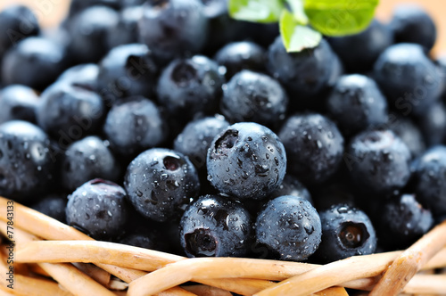 Wallpaper Mural Black currants Torontodigital.ca