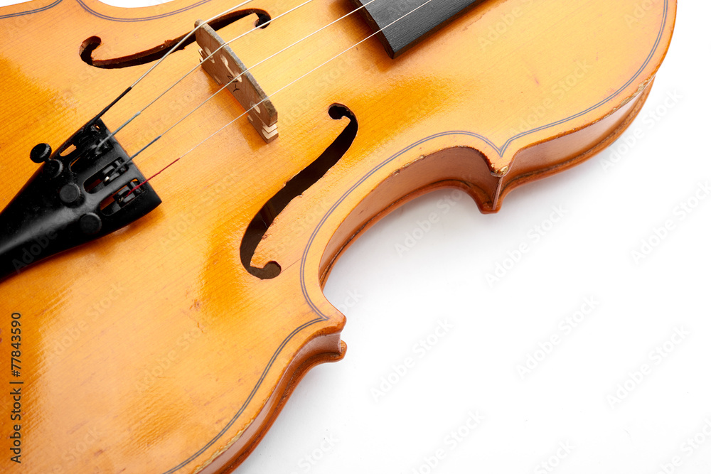 Obraz premium violin on white background