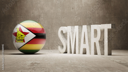 Zimbabwe. High Resolution Smart Concept.