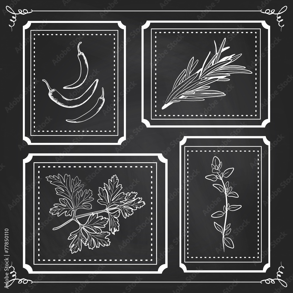 Fototapeta Handdrawn Illustration - Health and Nature Set. Collection of He