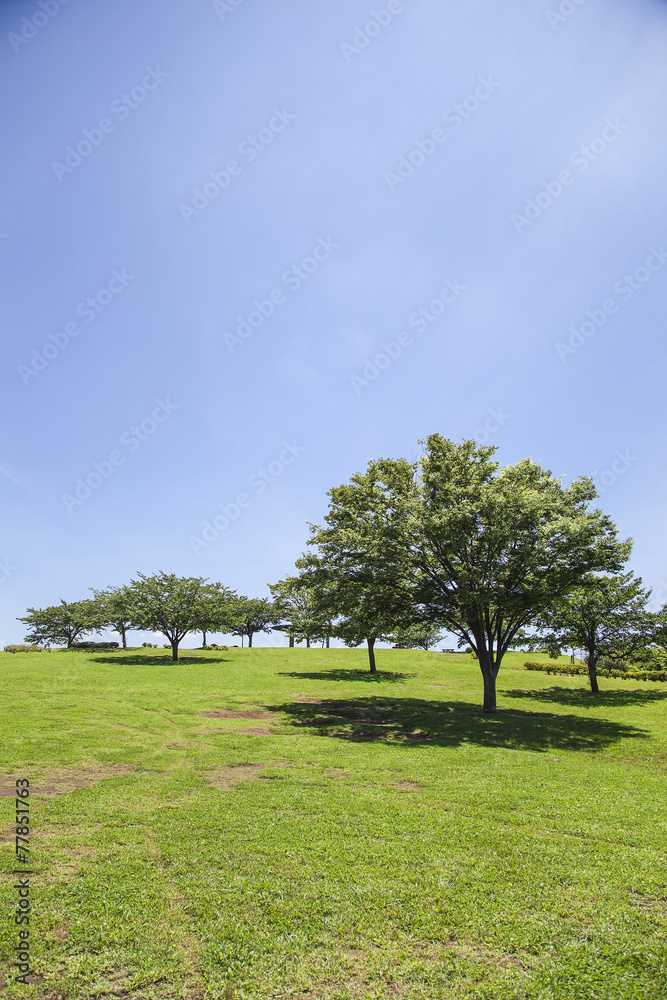 Obraz premium 公園 東京