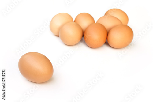 eggs on white background