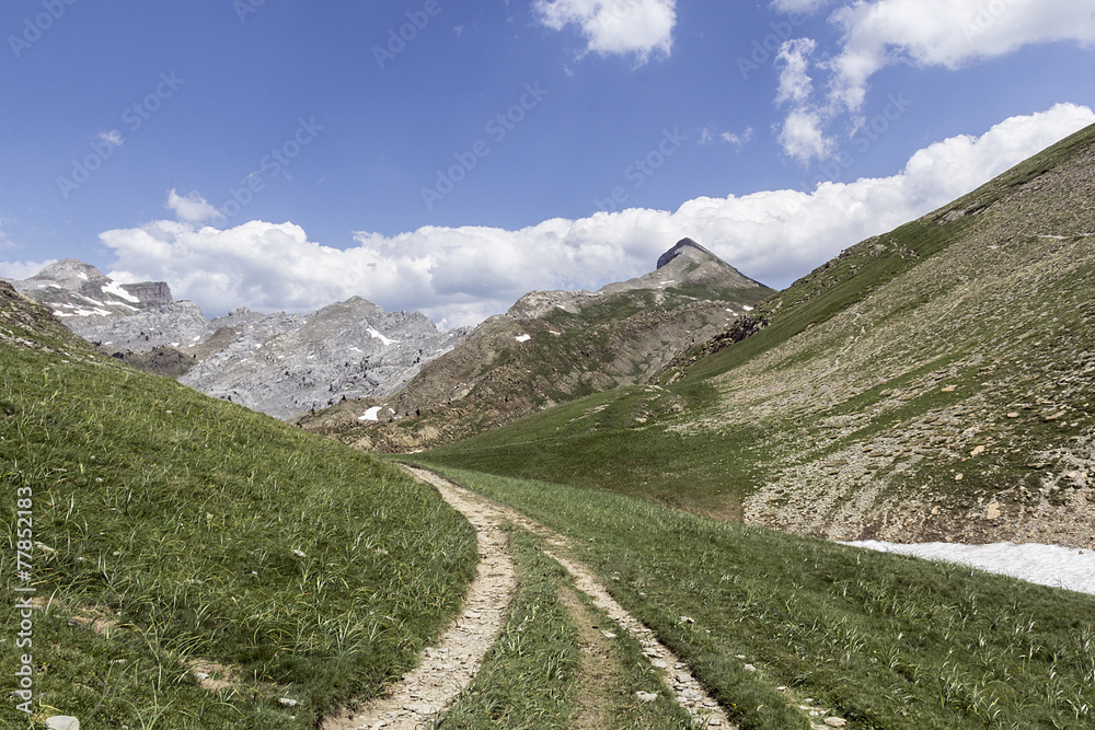 Fototapeta premium footpath