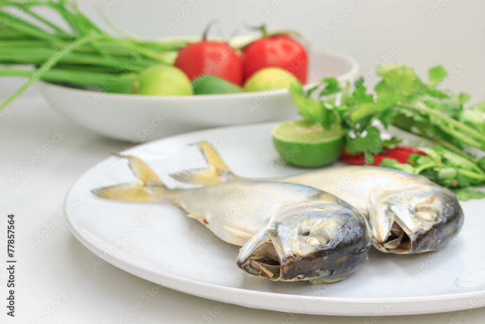 mackerel fish on white background