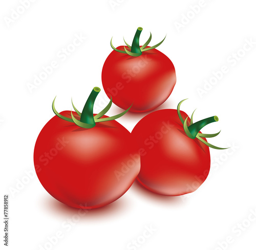 tomato in white background, red tomato, tomato vector
